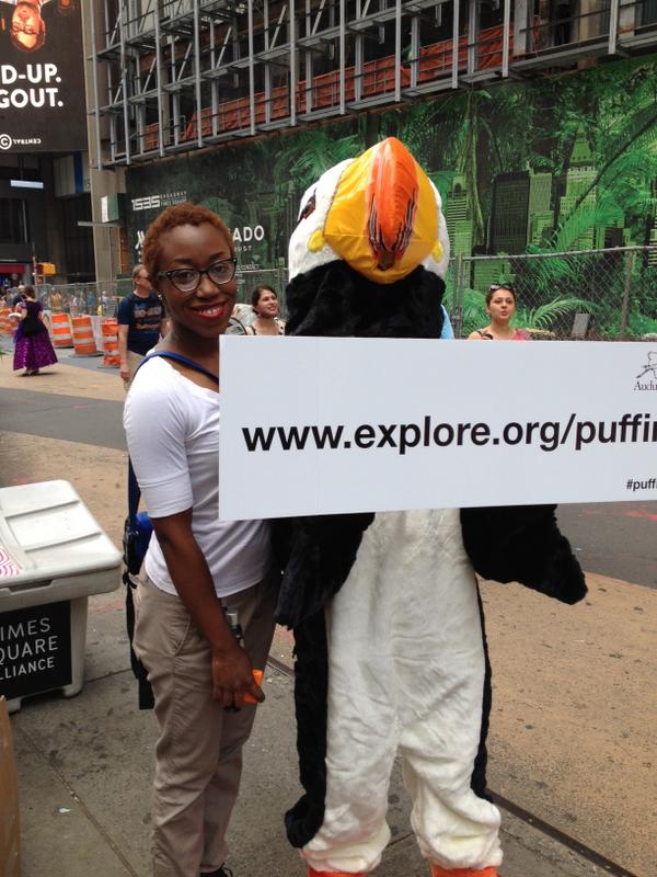 Puffins in Times Square