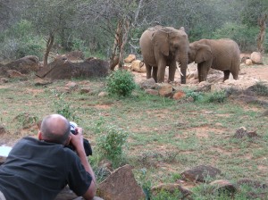 SH Photographing elephants in Kenya