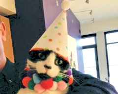 Tipper the cat in His Birthday Suit