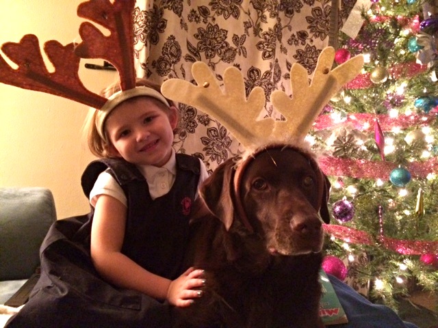 Ava and Buckeye (not pictured: Donner and Blitzen)