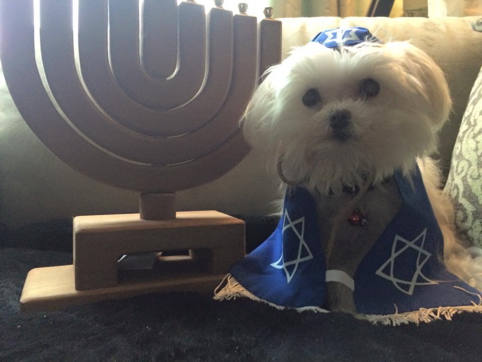 Happy Hanukkah, Ky!