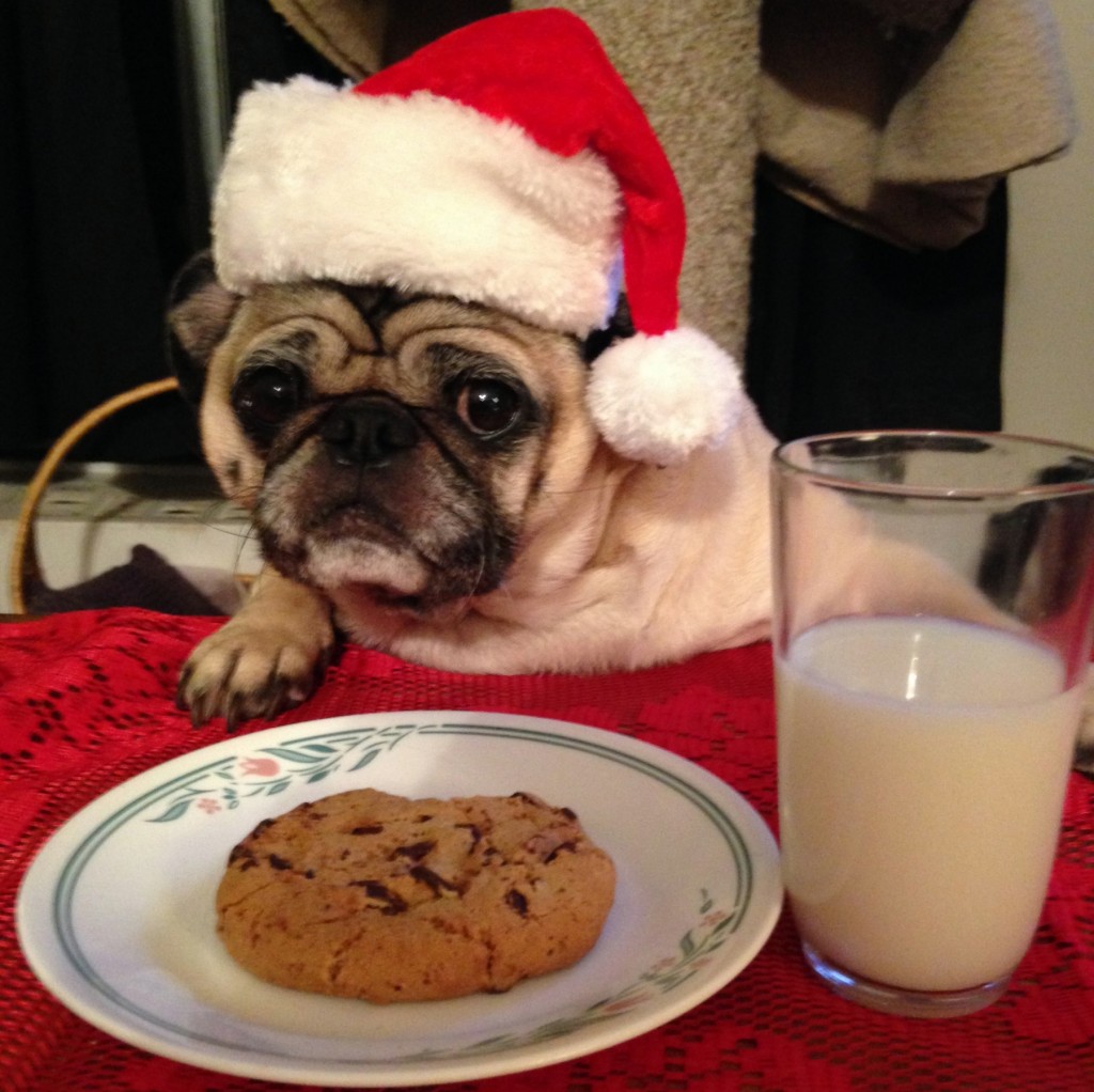 Mya thinks that if she looks enough like Santa, she'll get the milk and cookies.