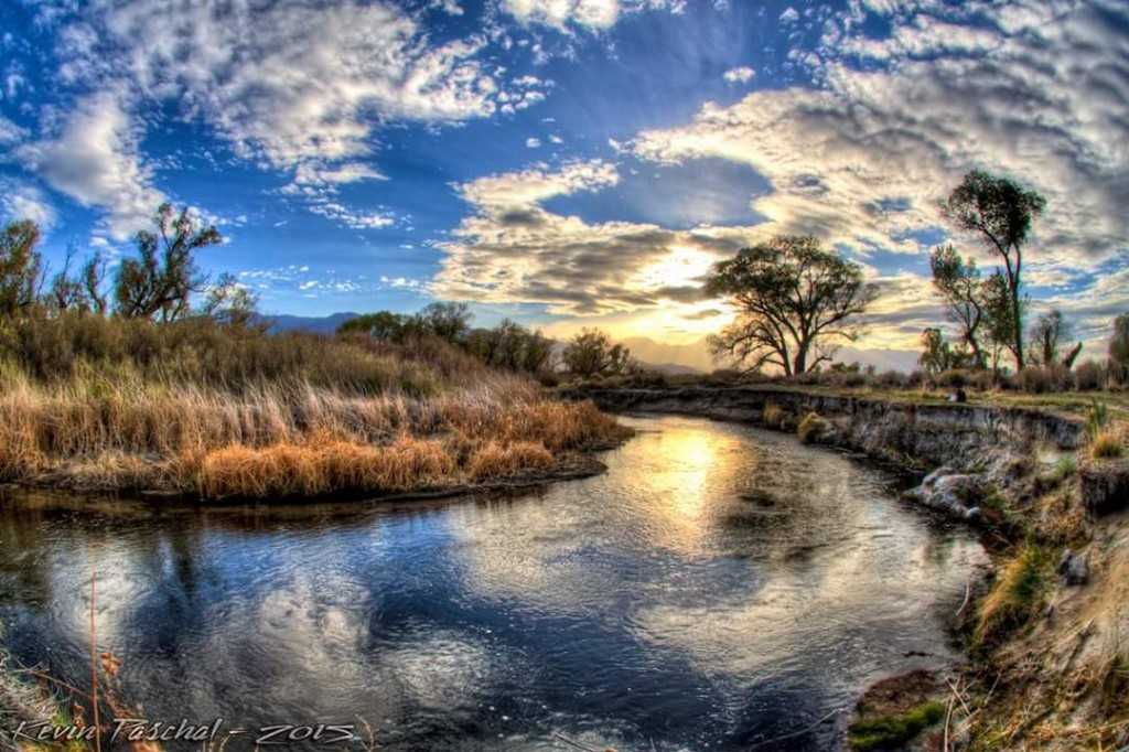 Owens River by Abbie Paschal