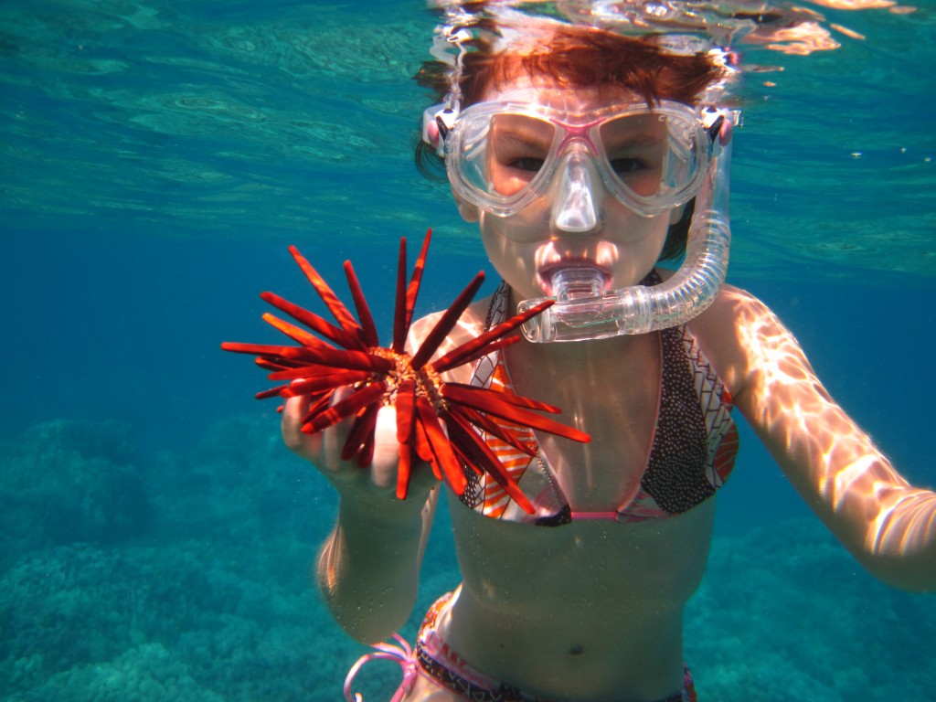 Young Snorkeler by Claire Fackler