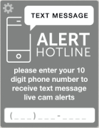 Text Message Alert_Fotor