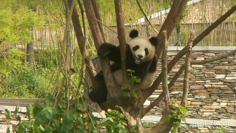 Hanging' in there! | Snapshot by Mimitoo