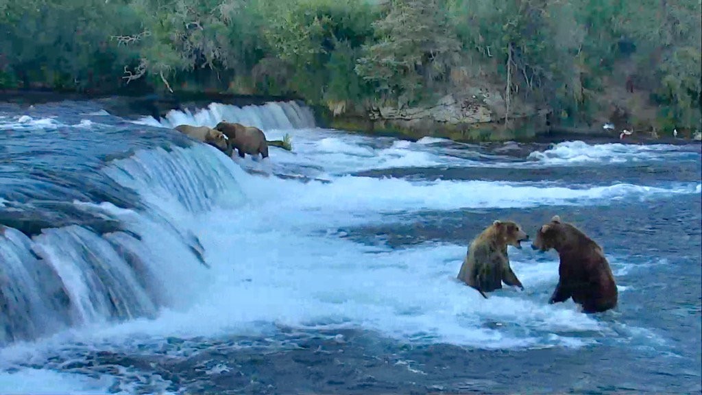 Things got real today in the jacuzzi | Snapshot by @SharlaHardin