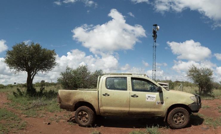 George Mwangi climbs up a communications mast at Mpala