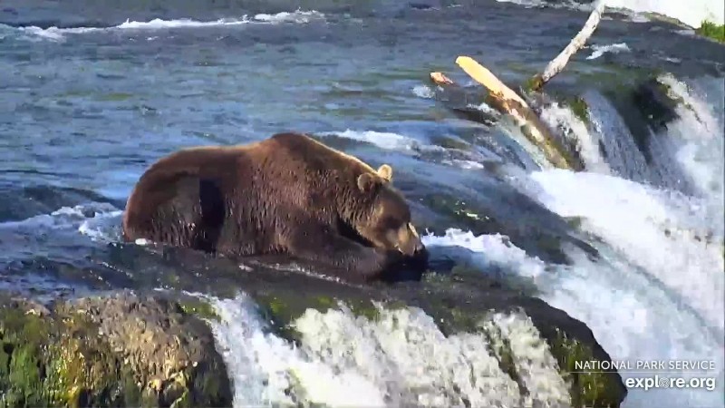 812 napping on the lip Snapshot by CamOp Tink
