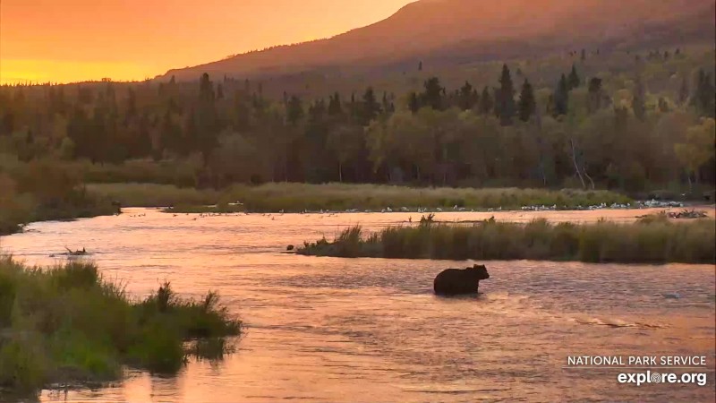 Beautiful sunset on the lower river Snapshot by Shel_