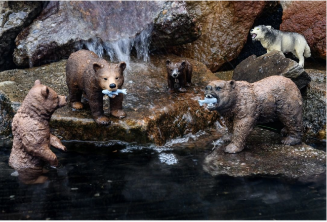 Bear diorama by @janiceterrill2019
