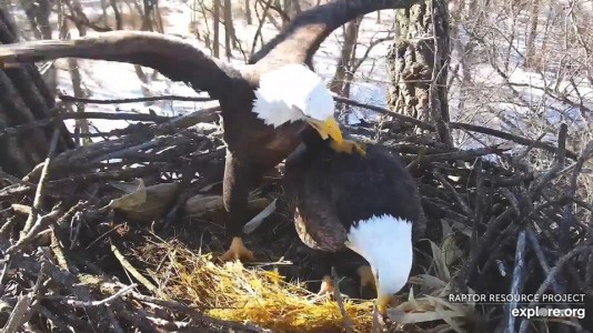 February 3, 2020: Mom makes her interest in bonding very clear!