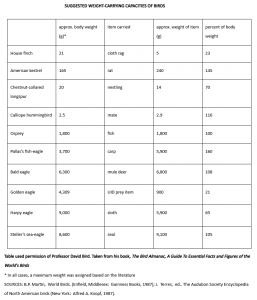 How much weight can a Bald Eagle carry?